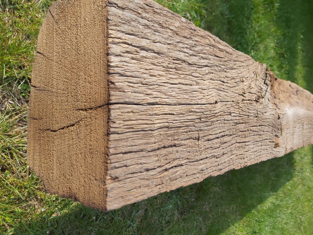 stare drewno dębowe zabytkowe